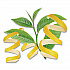 Green Tea with Lemon, Lemon, 0.34 lbs, 28/Box (10346)