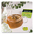 Decaffeinated Green Tea, Green Decaf, 0.34 lbs, 28/Box (10347)