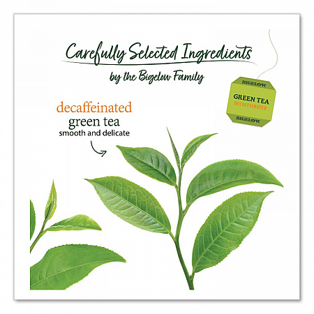 Decaffeinated Green Tea, Green Decaf, 0.34 lbs, 28/Box (10347)