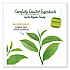Decaffeinated Green Tea, Green Decaf, 0.34 lbs, 28/Box (10347)