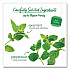 Mint Medley Herbal Tea, 28/Box (10393)