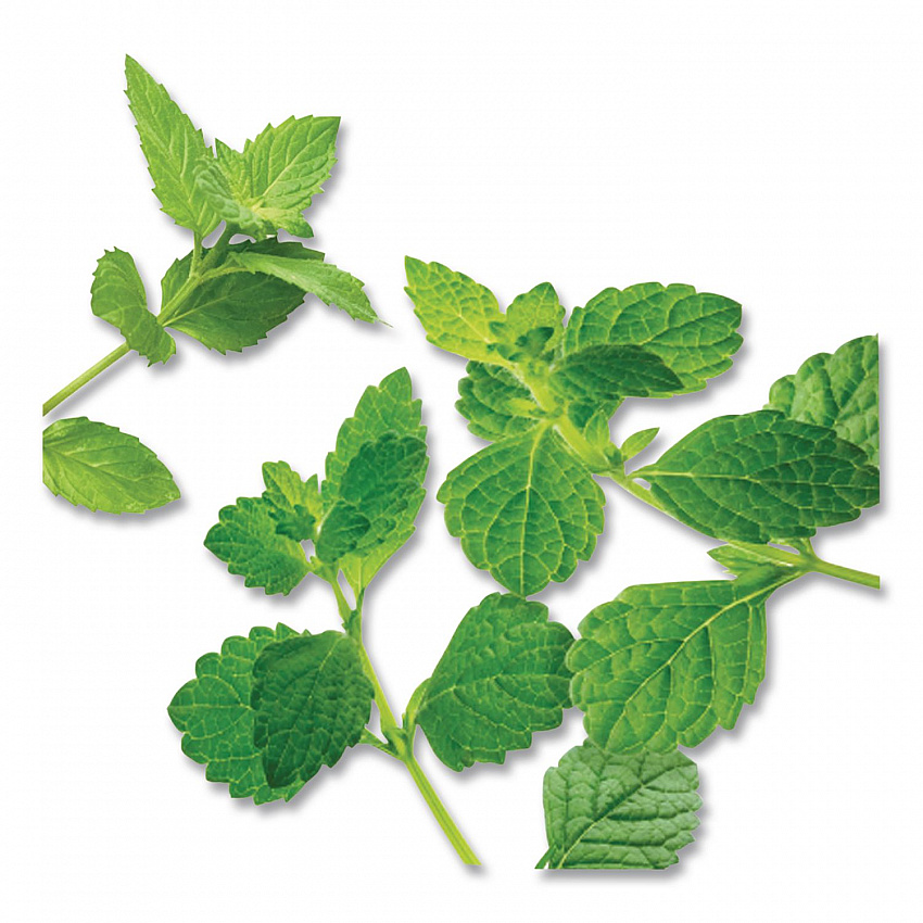 Mint Medley Herbal Tea, 28/Box (10393)