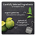 steep Tea, Earl Grey, 1.28 oz Tea Bag, 20/Box (17700)