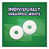 Hard Candy Mints, Wint-O-Green, Individually Wrapped, 6.25 oz Bag (88504)