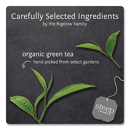 steep Tea, Pure Green, 0.91 oz Tea Bag, 20/Box (17703)