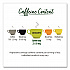 steep Tea, Pure Green, 0.91 oz Tea Bag, 20/Box (17703)
