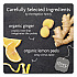 steep Tea, Lemon Ginger, 1.6 oz Tea Bag, 20/Box (17704)