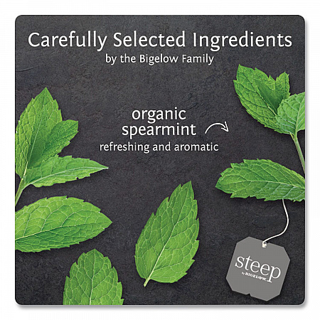 steep Tea, Mint, 1.41 oz Tea Bag, 20/Box (17709)