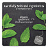 steep Tea, Mint, 1.41 oz Tea Bag, 20/Box (17709)