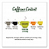 Green Tea Assortment, Tea Bags, 64/Box, 6 Boxes/Carton (30568CT)
