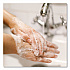 Antibacterial Liquid Hand Soap, Spring Water Scent, 1 gal, 4/Carton (15926)