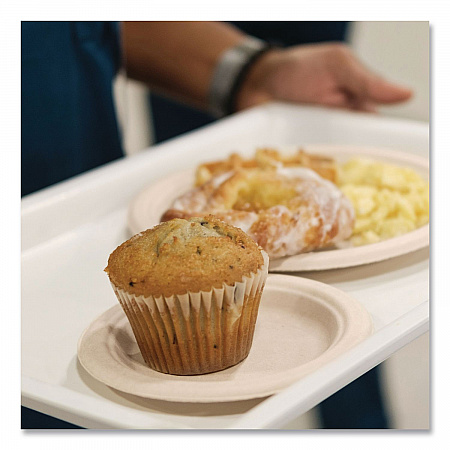 Compostable Molded Fiber Dinnerware, ProPlanet Seal, Plate, 6