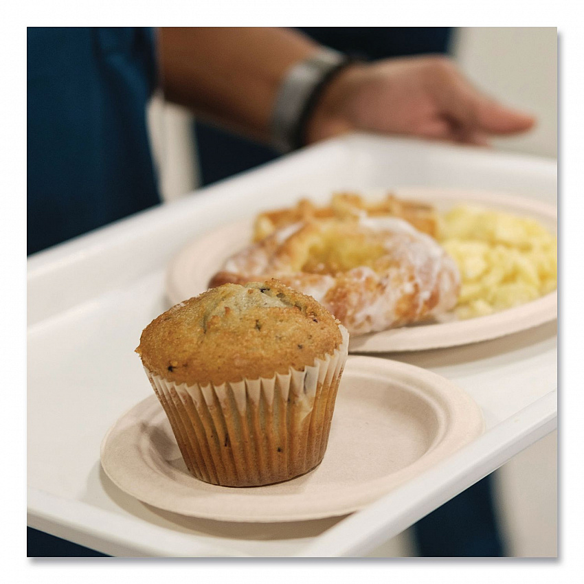 Compostable Molded Fiber Dinnerware, ProPlanet Seal, Plate, 6" dia, Natural, 1,000/Carton (6FBRP1)