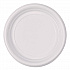 Hi-Impact Plastic Dinnerware, Plate, 6