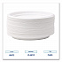 Hi-Impact Plastic Dinnerware, Plate, 6