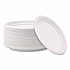 Hi-Impact Plastic Dinnerware, Plate, 6