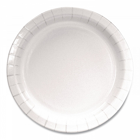 Paper Dinnerware, Plate, 9