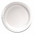 Paper Dinnerware, Plate, 9