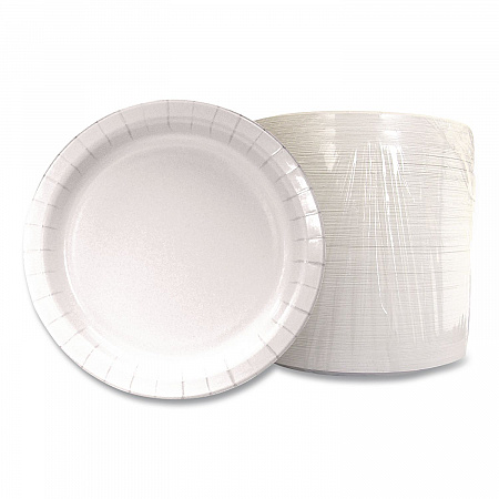 Paper Dinnerware, Plate, 9