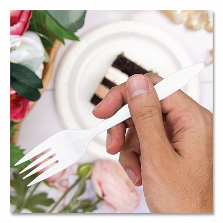 Style Setter Medium Weight Polypropylene Cutlery, Fork, Plastic, White, 1,000/Carton (F6OW)