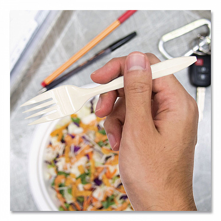 Style Setter Medium Weight Polypropylene Cutlery, Fork, Plastic, White, 1,000/Carton (F6OW)