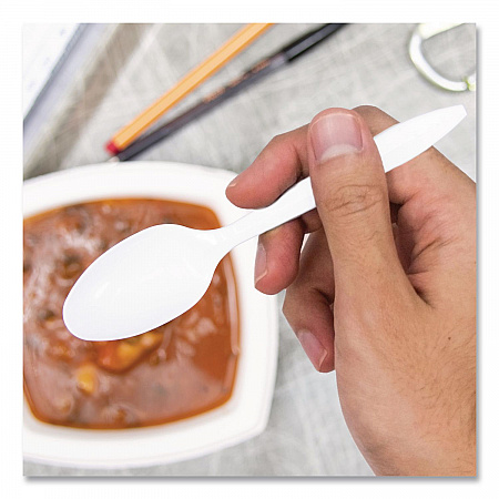 Style Setter Medium Weight Polypropylene Cutlery, Teaspoon, Plastic, White, 1,000/Carton (S6OW)