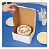 White One-Piece Non-Window Bakery Boxes, 8 x 8 x 5, White, Paper, 100/Carton (09455)