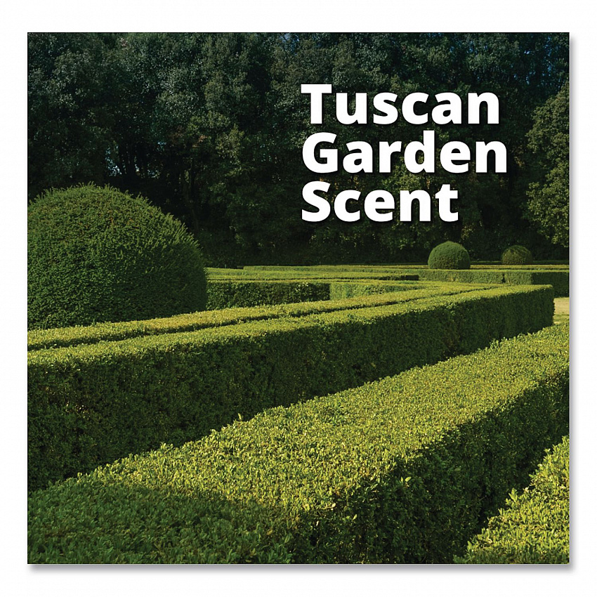 Good Sense Automatic Spray System, Tuscan Garden, 0.67 oz Cartridge, 12/Carton (101109732)