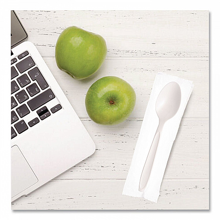 Reliance Mediumweight Cutlery, Individually Wrapped, Spoon, Plastic, White, 1,000/Carton (RSW3)