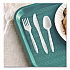 Reliance Mediumweight Cutlery Kit, Fork/Knife/Spoon, Plastic, White, 500/Carton (RSW7Z)