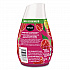 Adjustables Air Freshener, Forever Raspberry, 7 oz Solid, 12/Carton (43111CT)