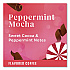 Peppermint Mocha K-Cup, 22/Box (12437832)