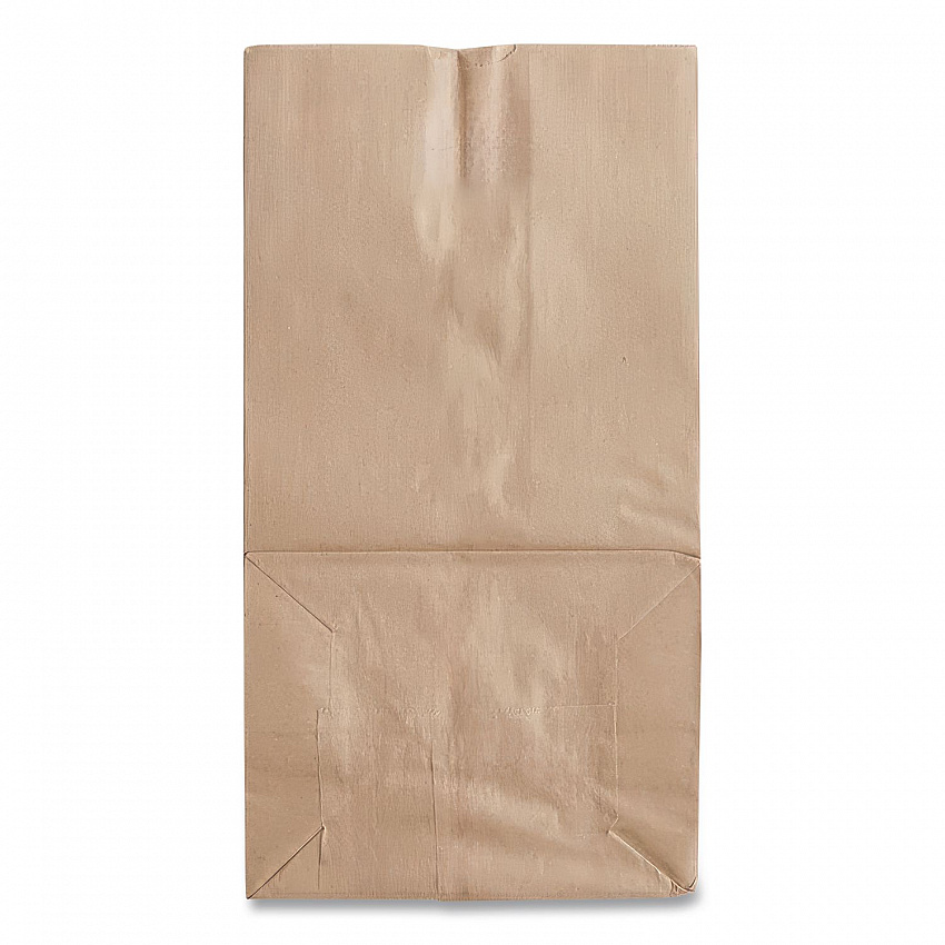 Grocery Paper Bags, 25# Size, Heavy-Duty, 50# Basis Weight, 8.25" x 5.38" x 18", Kraft, 500/Bundle (GH25)