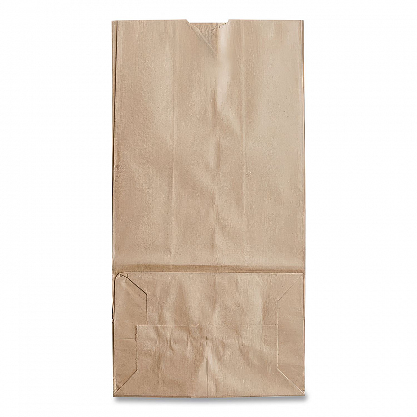 Grocery Paper Bags, 20# Size, 40# Basis Weight, 8.25" x 5.25" x 16.13", Kraft, 500/Bundle (GK20500)