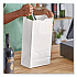 Grocery Paper Bags, 12# Size, 40# Basis Weight, 7