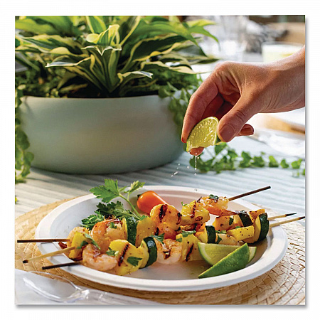 PaperPro Naturals Molded Fiber Dinnerware, Round Plates, 10.5