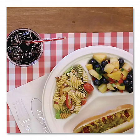 PaperPro Naturals Molded Fiber Dinnerware, Round Plates, 3-Compartment, 10.25