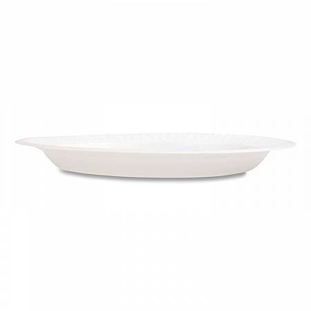 Foam Dinnerware, Plate, 9