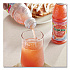 100% Juice, Ruby Red Grapefruit, 10 oz Bottle, 24/Carton (57161)