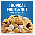 Trail Mix, Tropical Fruit and Nut, 2 oz Bag, 72/Carton (00026)