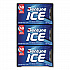 Sugarless Gum, Peppermint Flavor,16 Pieces/Pack, 9 Packs/Box (3125400)