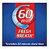 Sugarless Gum, Peppermint Flavor,16 Pieces/Pack, 9 Packs/Box (3125400)