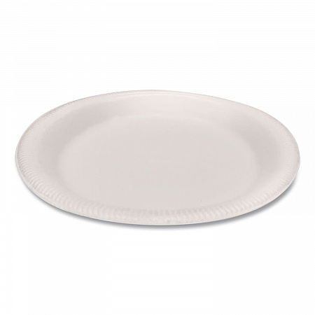 Foam Dinnerware, Plate, 9