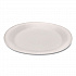 Foam Dinnerware, Plate, 9