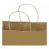 Premium Shopping Bag, Rope Handles, 12