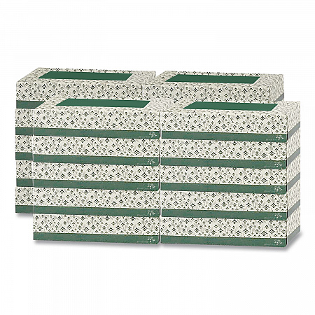 White Facial Tissue, 2-Ply, 100 Sheets/Box, 30 Boxes/Carton (F100)