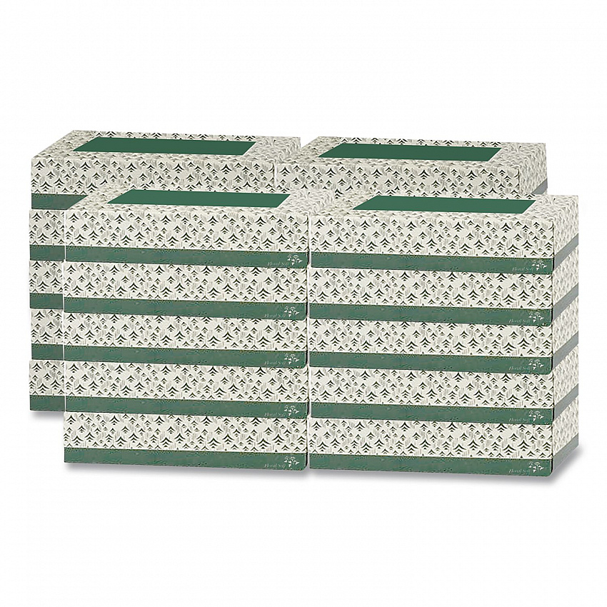 White Facial Tissue, 2-Ply, 100 Sheets/Box, 30 Boxes/Carton (F100)