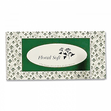 White Facial Tissue, 2-Ply, 100 Sheets/Box, 30 Boxes/Carton (F100)