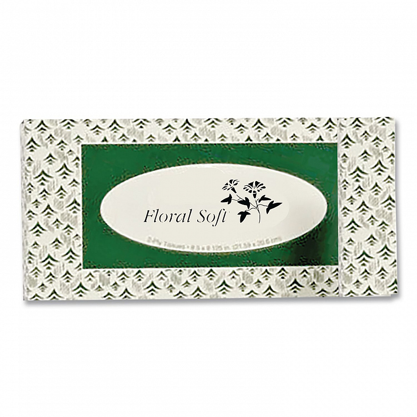 White Facial Tissue, 2-Ply, 100 Sheets/Box, 30 Boxes/Carton (F100)