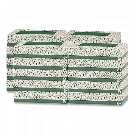 Recycled Two-Ply Facial Tissue, White, 150 Sheets/Box, 20 Boxes/Carton (EF150)